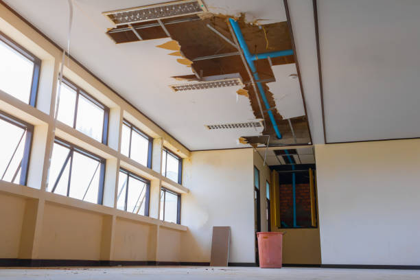 Best Flood damage cleanup  in Florham Park, NJ